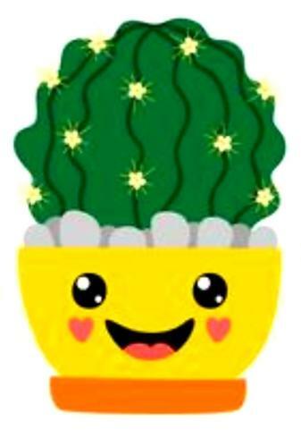 Apartamento Apt. Cactus & Friends Sweet & Fresh