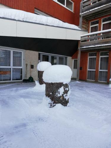 Apartamento Studio Au Clos Des Gentianes