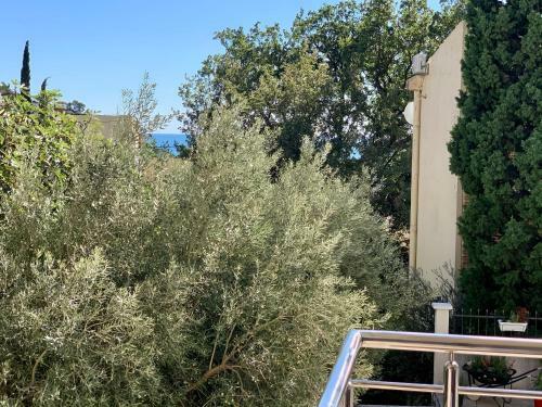 Sunday Apartment Petrovac