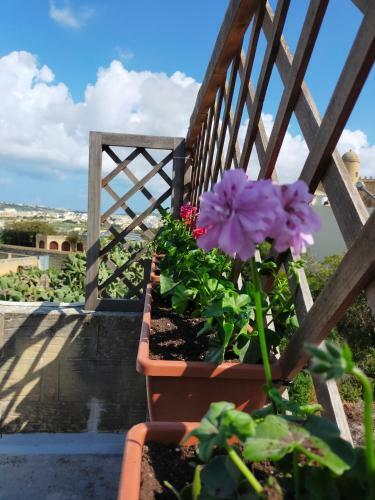 Gozo Rustic Farmhouse With Stunning Views And Swimming Pool