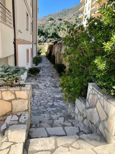 Holiday Apartments Petrovac