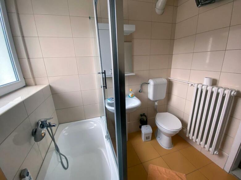 Spacious Modern Apartment Kisela Voda