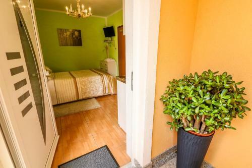 Apartments Lorena With Beautiful Garden