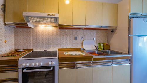 Apartment Anica