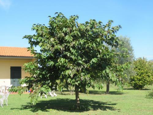Apartamento Oasi Di Pace Ca' Del Sale