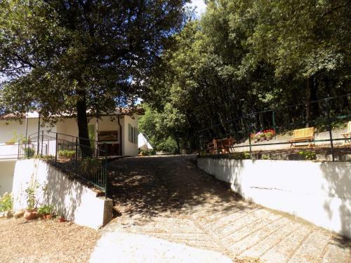 Hostal Room In Bb - Bb Il Leccio , Umbria
