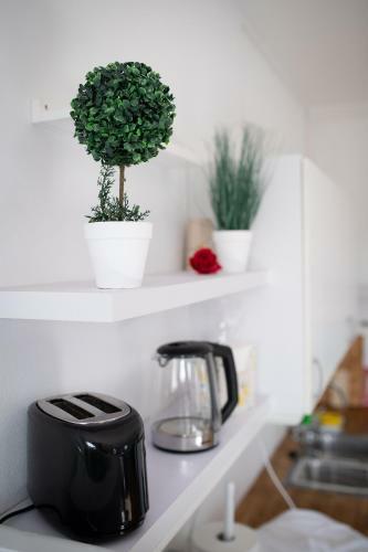 Apt 101 - Andenes Whale Safari Apartments
