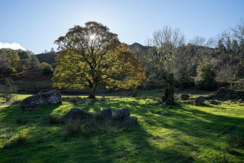 Rural - Grasmere - Cottage - 2 Bedrooms - Exceptional Views - Stunning Location