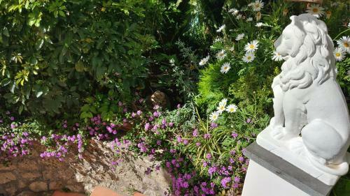 Apartamento Appartamento La Follicara