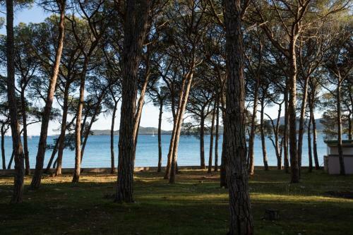 Apartmani Dina