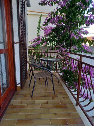 Apartmani Danica