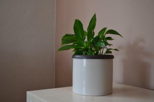 Apartamento Soojo