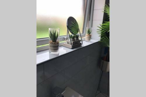 **hot Tub**eye Catching And Trendy**pet Friendly**