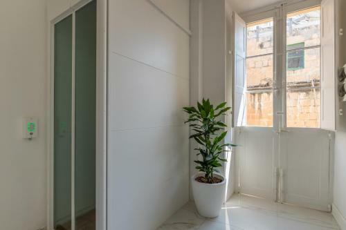 Valletta Central Historical Apartments