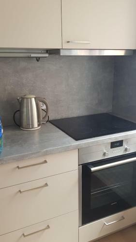 Apartamento Vacation In Druskininkai