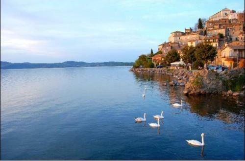 Il B&B Del Lago