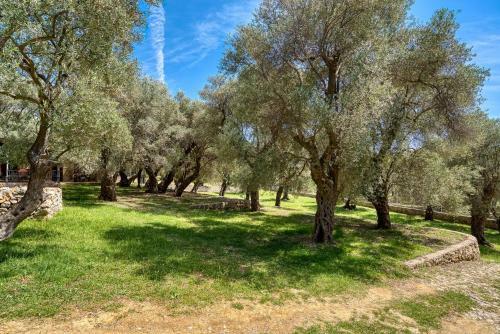 Apartamento Stonehouse In Olives