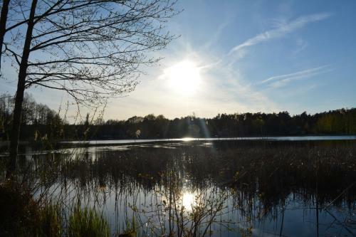 Apartamento Elegancki Loft W Centrum.