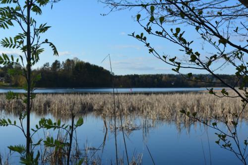 Apartamento Elegancki Loft W Centrum.