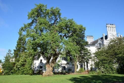 Hotel The Lodges At Ballykealey