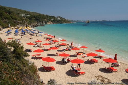 Erato Apartment In Argostoli