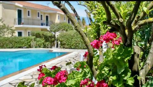 Lemon Tree Apartments B C