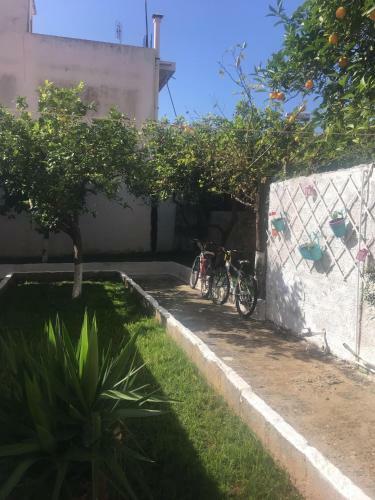 Cozy House In Argostoli