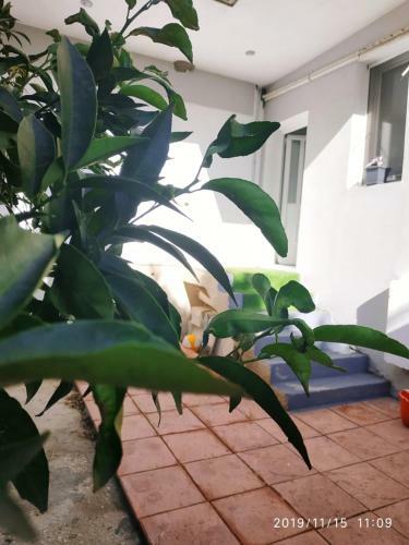 Studio Poseidonia Apartment 100sqm Corinth Canal