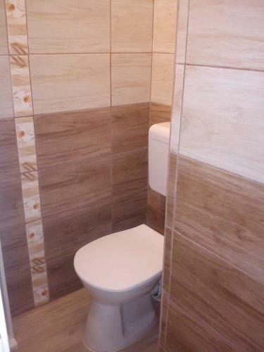 Apartment In Cserkeszolo/ostungarn 37908