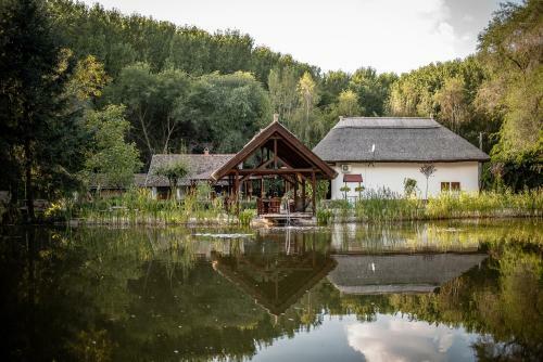 Zarah Tanya With A Private Lake And Forest