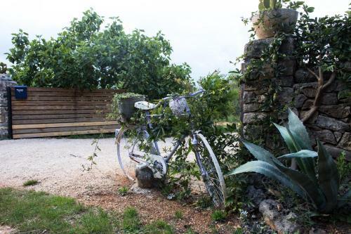 Officinalis - Family Vacation House