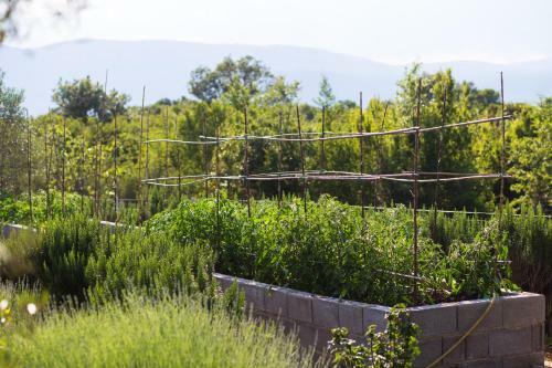 Officinalis - Family Vacation House