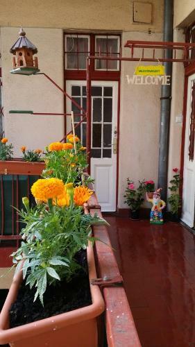 Hostal Valentina Guesthouse
