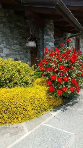 Apartamento Appartamento Fleur Des Neiges