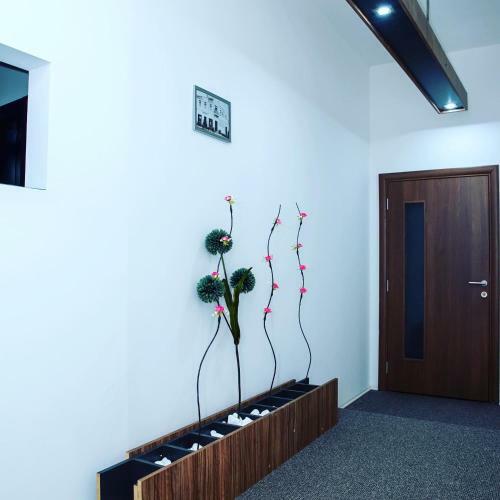 Stari Zaje?ar Apartments