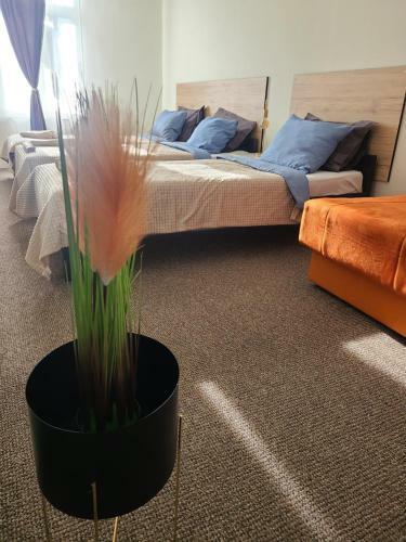 Stari Zaje?ar Apartments