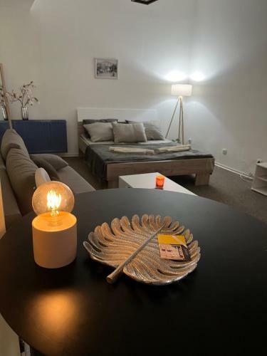 Stari Zaje?ar Apartments