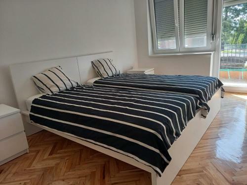 Apartman Sti?anka
