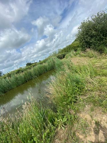 1 Miniature Oast House Or 1 Separate Self Contained Duck Shed
