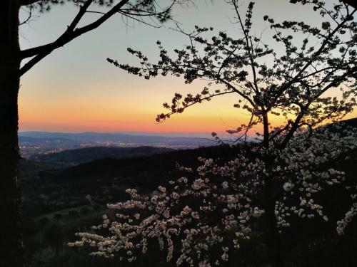 Villa Podere Fusai