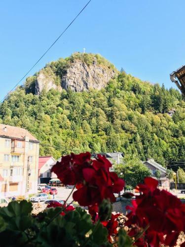 Hostal Pensiunea Montana Bor?a Mm