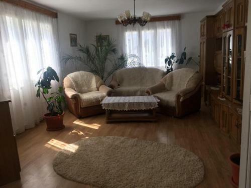 Hostal Vila Firuta Borsa