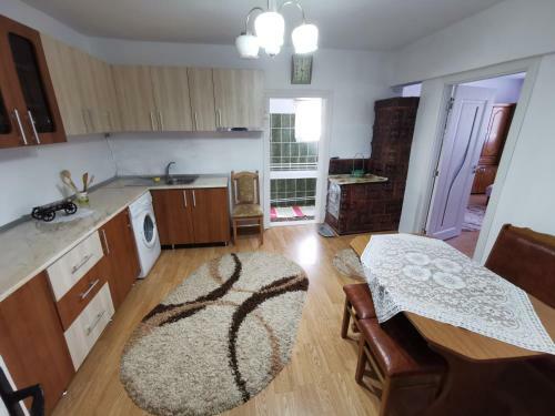 Hostal Vila Firuta Borsa