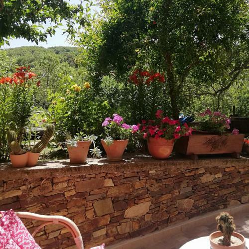 B&B L'agrifoglio