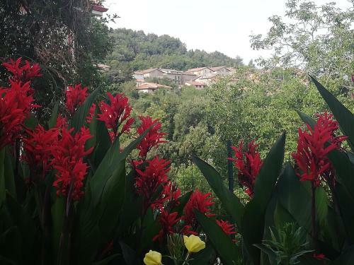 B&B L'agrifoglio