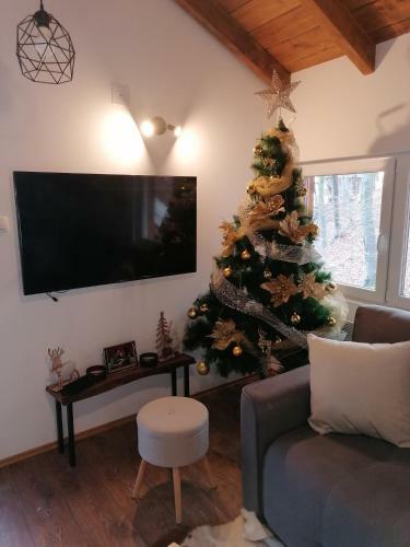 Hostal Apartmani Sergejev San, Bukulja, Arandjelovac