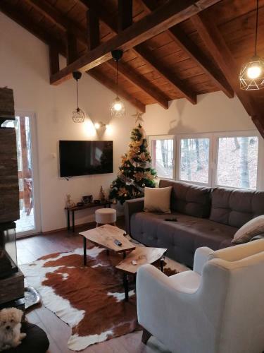 Hostal Apartmani Sergejev San, Bukulja, Arandjelovac