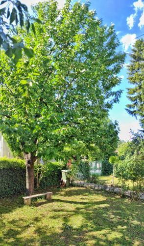 Apartamento Guest House Nana
