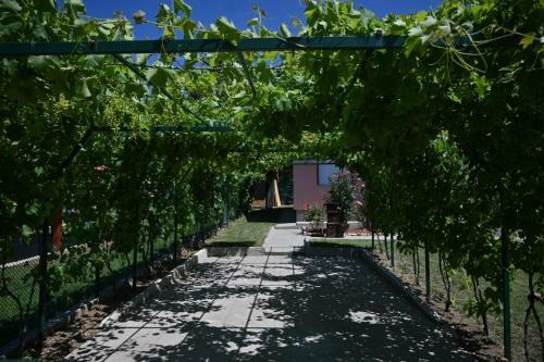 Villa Kuca Sa Bazenom Teja