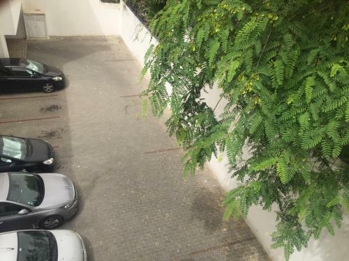 Fisherman�s Beach Apartment